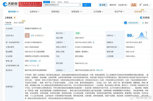 西部航空注冊資本大增，戰(zhàn)略布局升級預(yù)示行業(yè)新動態(tài)